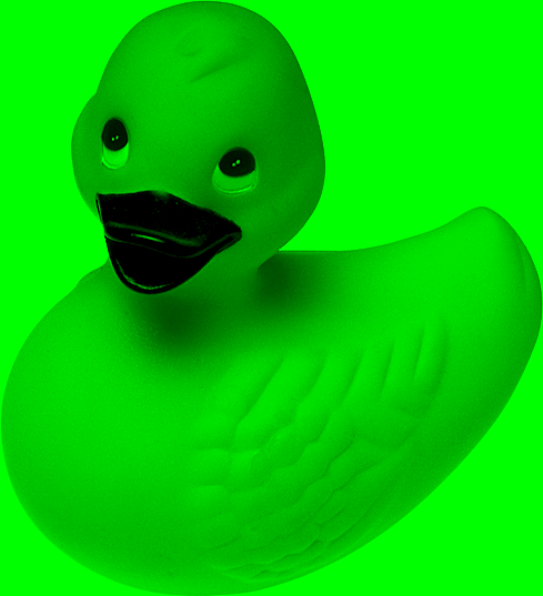 example of an image of duck blending with the lime color of the document