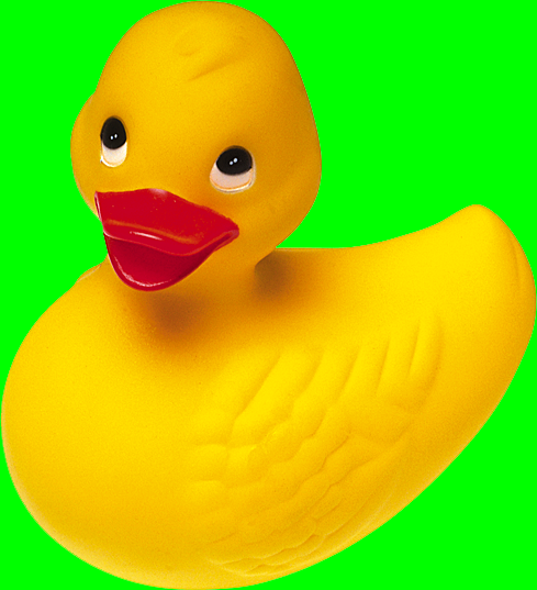 example of an image of duck with the lime color of the document